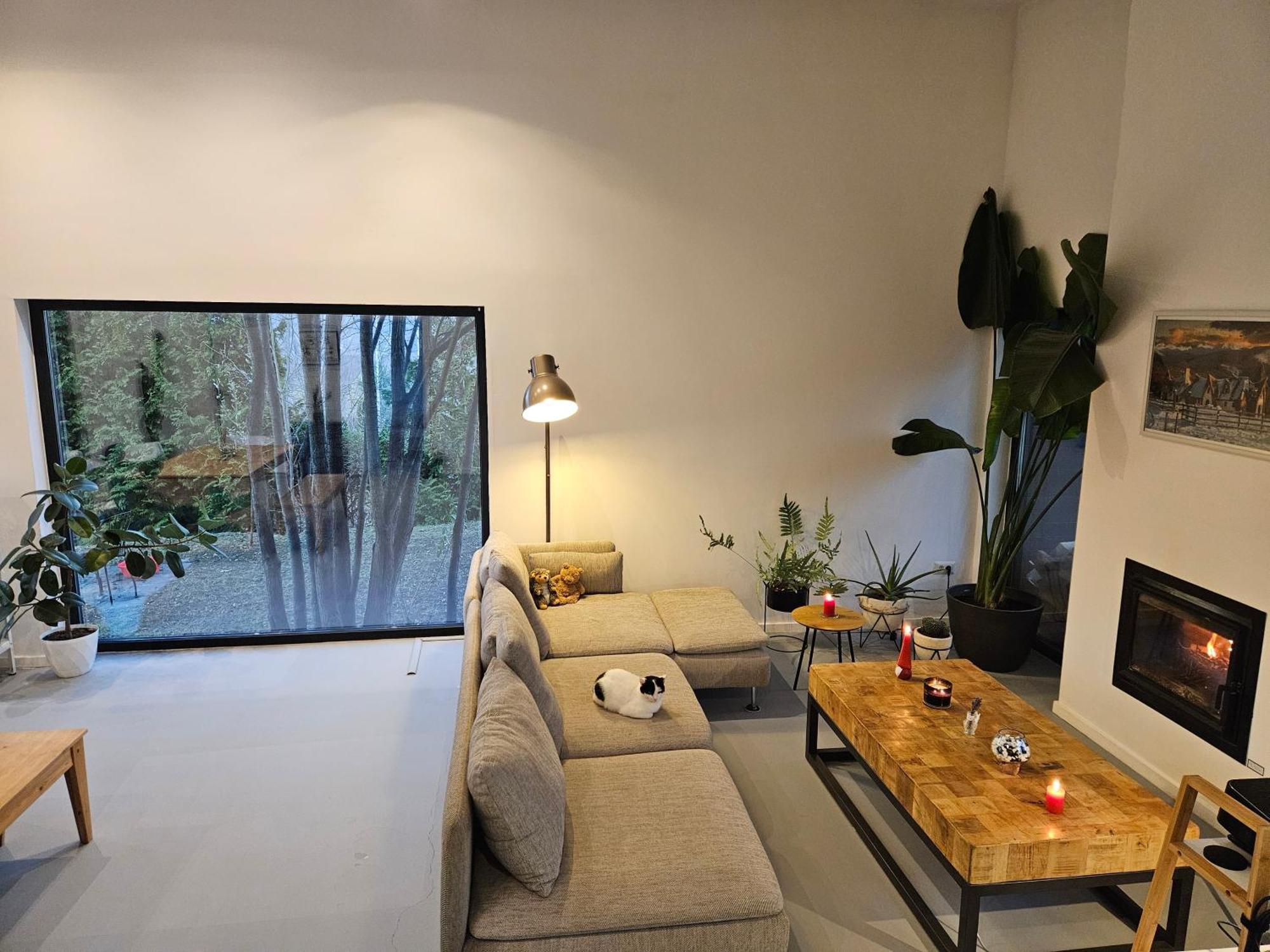 Black Walnut House With Indoor Outdoor Fireplace Izvoarele  エクステリア 写真