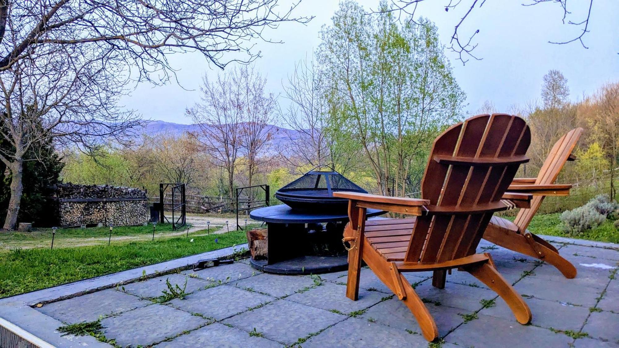 Black Walnut House With Indoor Outdoor Fireplace Izvoarele  エクステリア 写真